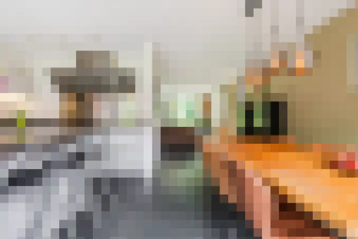 Waleweinlaan 2 Geldrop thumbnail 8