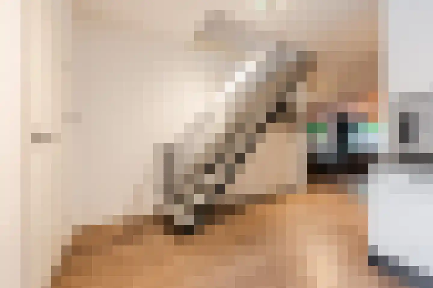 Waleweinlaan 24 Geldrop thumbnail 11