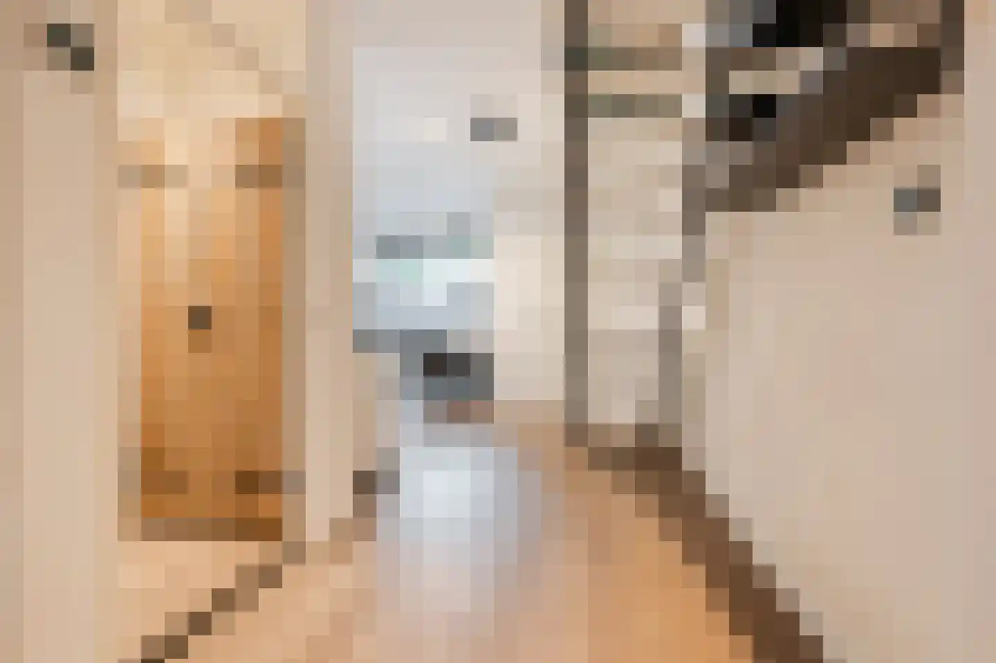 Waleweinlaan 24 Geldrop thumbnail 12