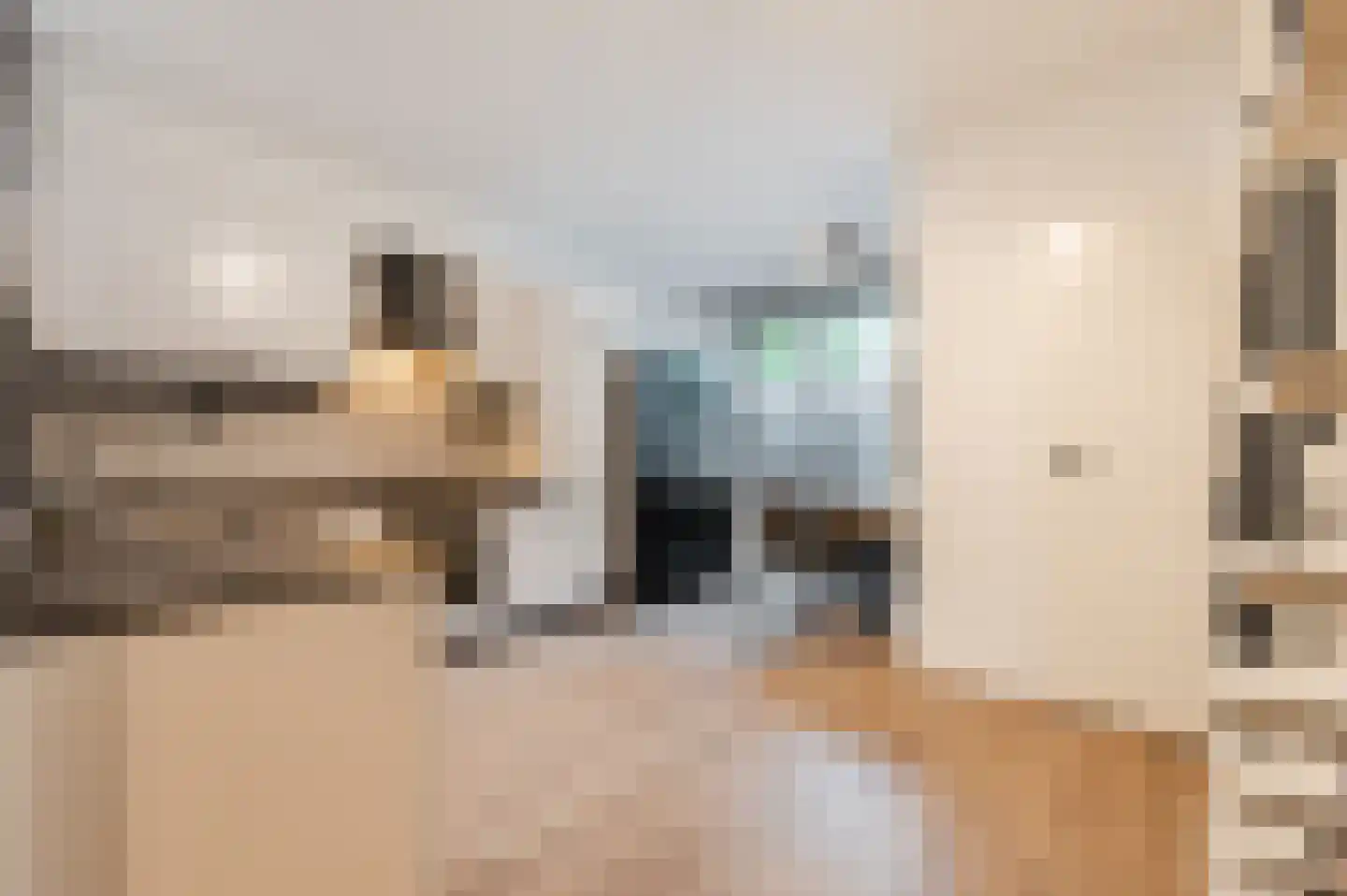 Waleweinlaan 24 Geldrop thumbnail 13