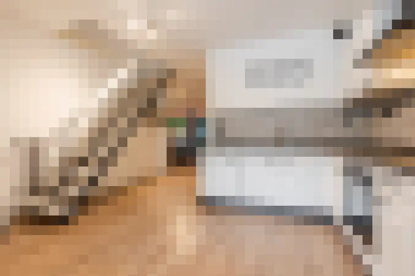 Waleweinlaan 24 Geldrop thumbnail 17
