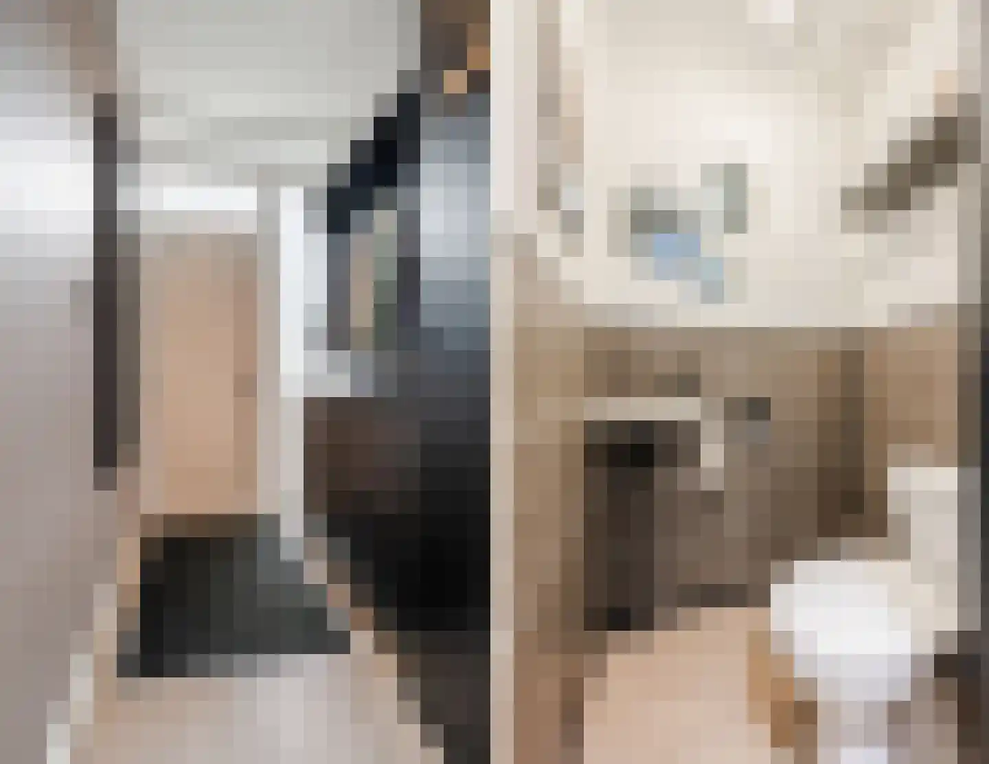 Waleweinlaan 24 Geldrop thumbnail 18