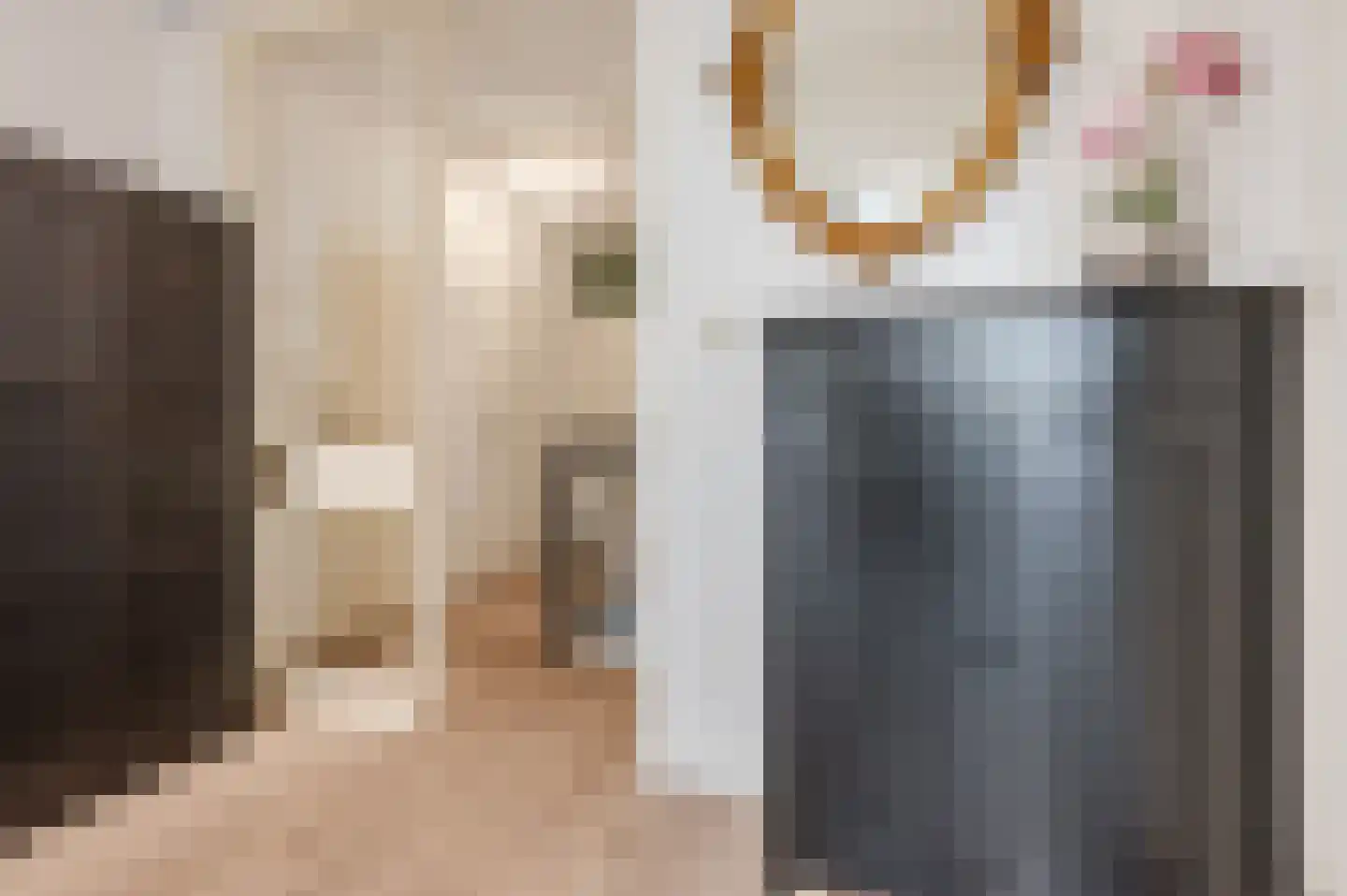 Waleweinlaan 24 Geldrop thumbnail 27