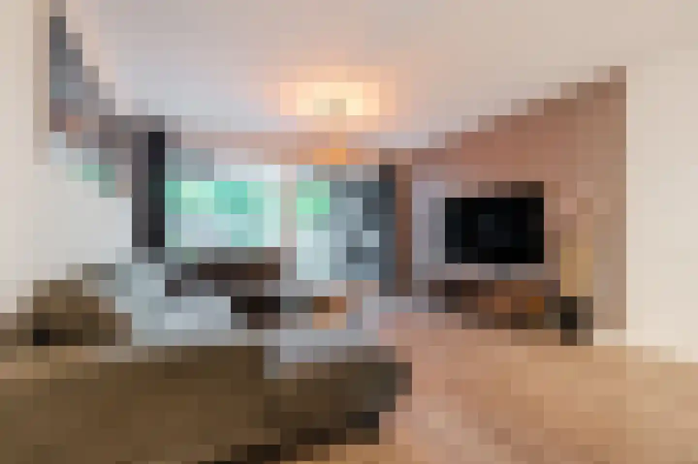 Waleweinlaan 24 Geldrop foto 3