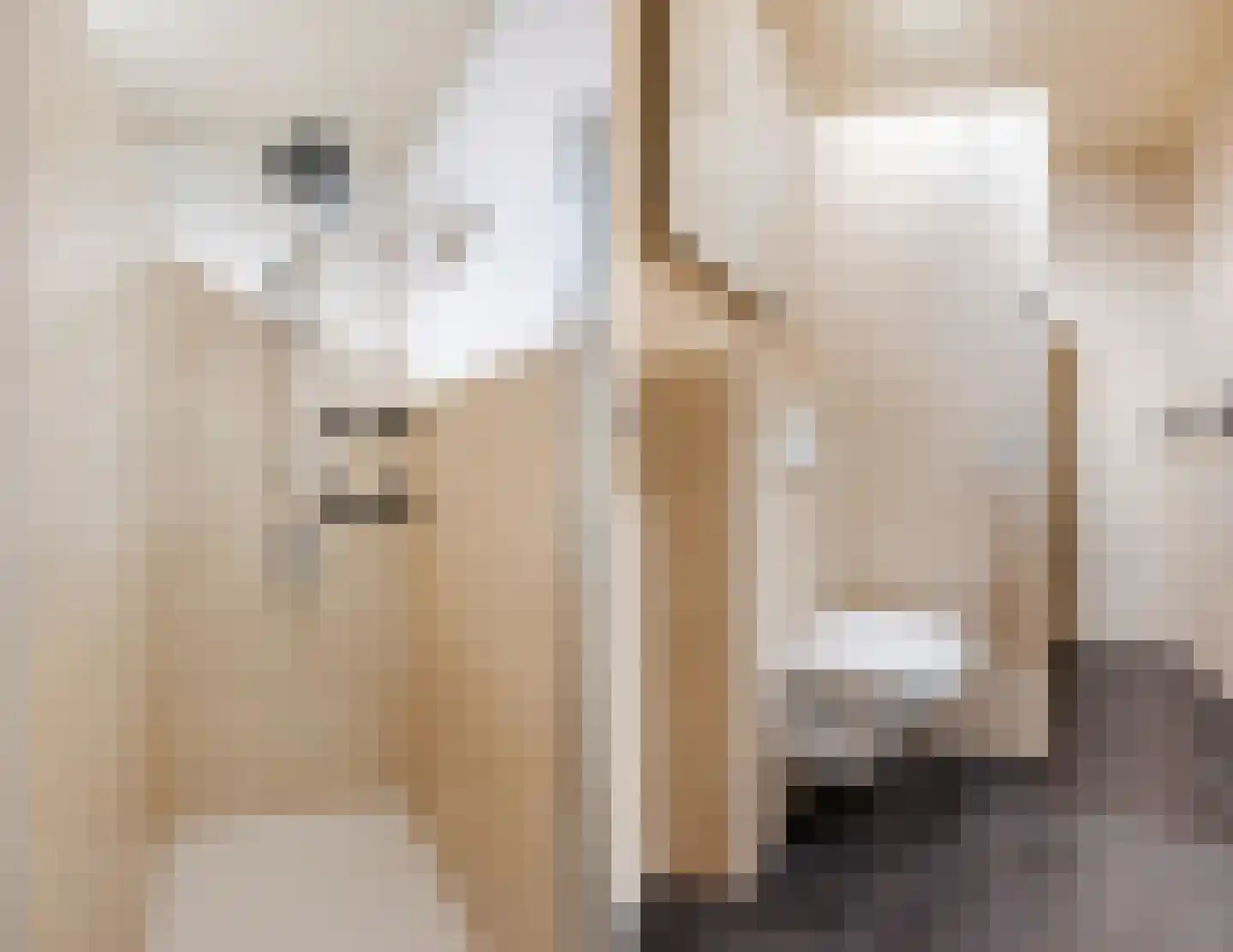 Waleweinlaan 24 Geldrop thumbnail 30