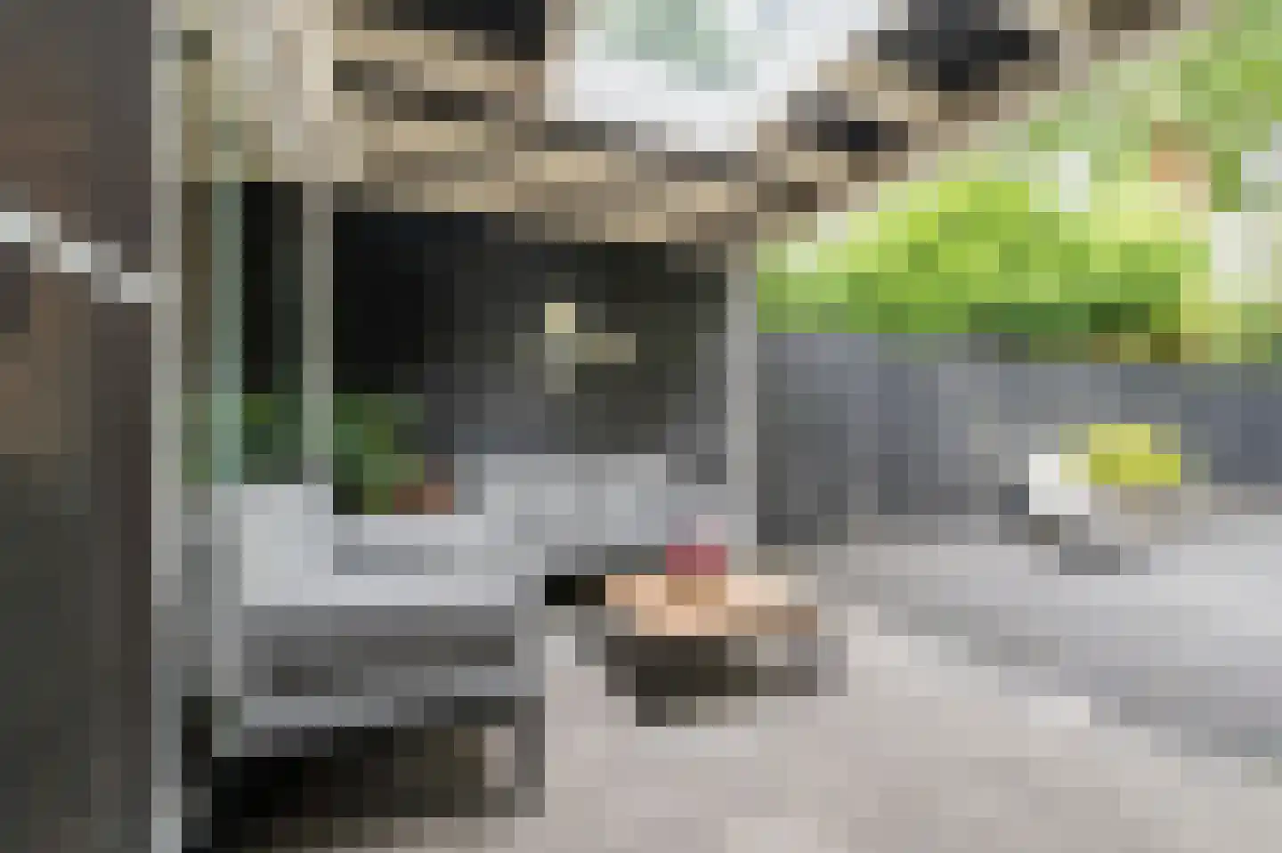 Waleweinlaan 24 Geldrop thumbnail 33