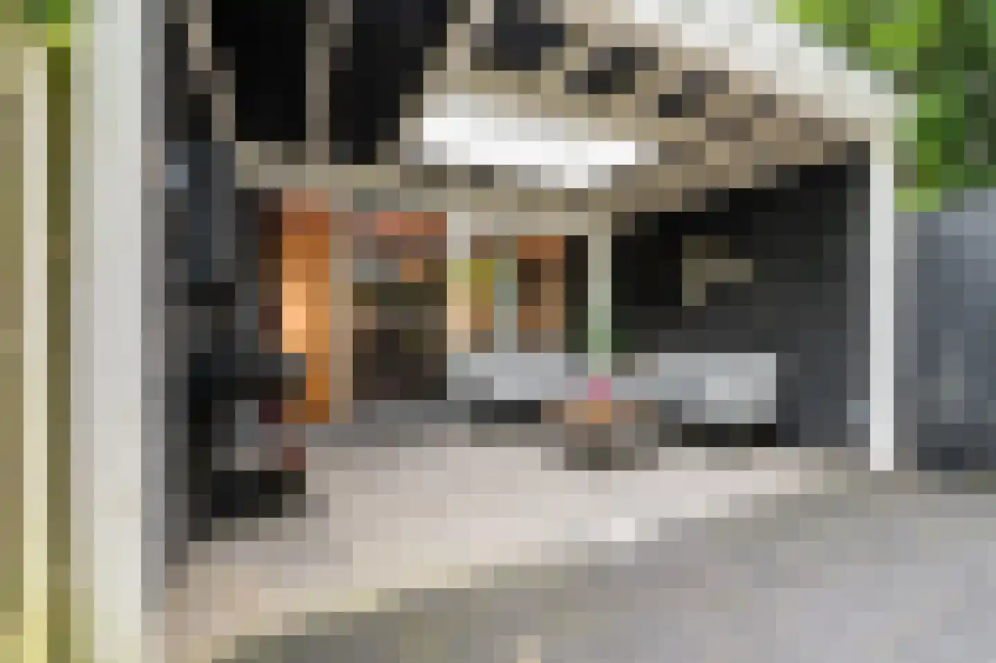 Waleweinlaan 24 Geldrop thumbnail 34
