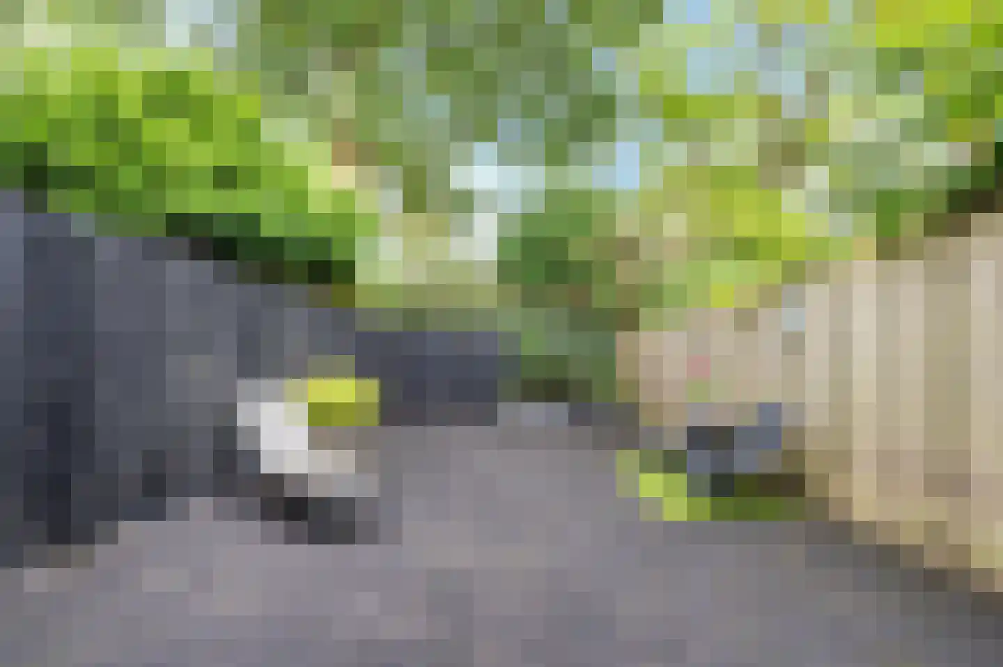 Waleweinlaan 24 Geldrop thumbnail 35