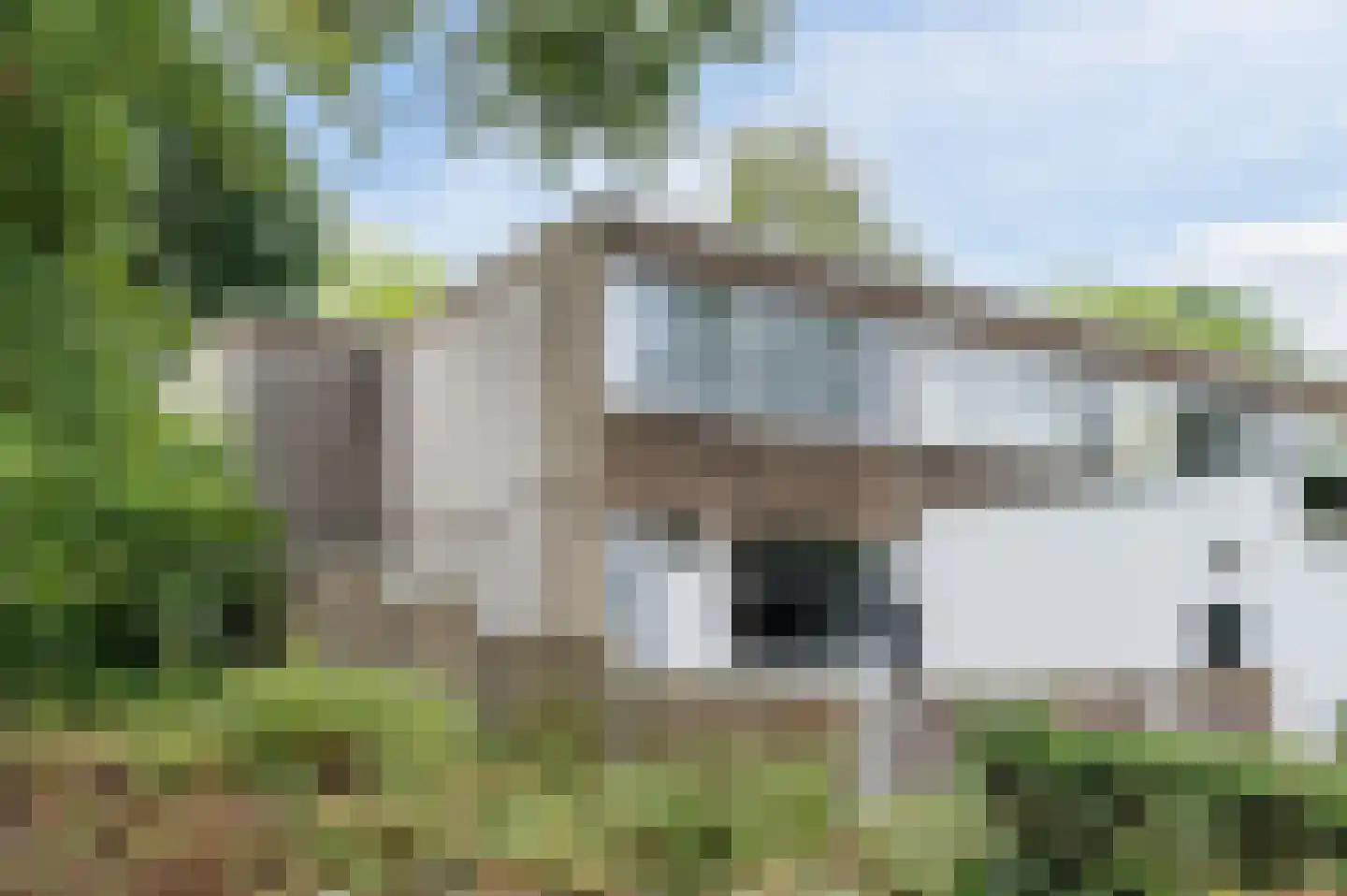 Waleweinlaan 24 Geldrop thumbnail 39