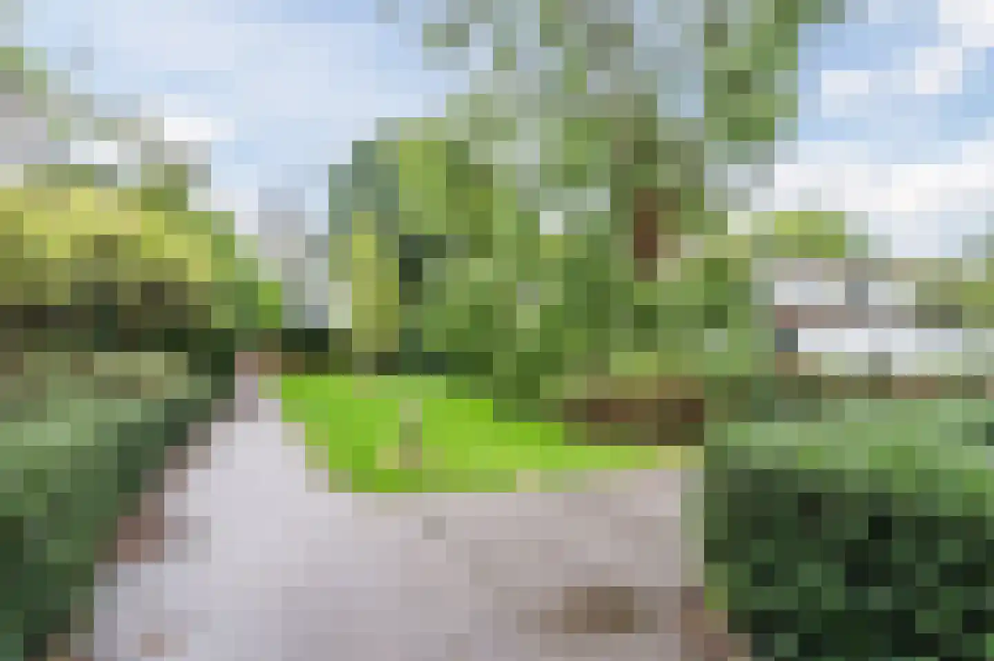 Waleweinlaan 24 Geldrop thumbnail 40