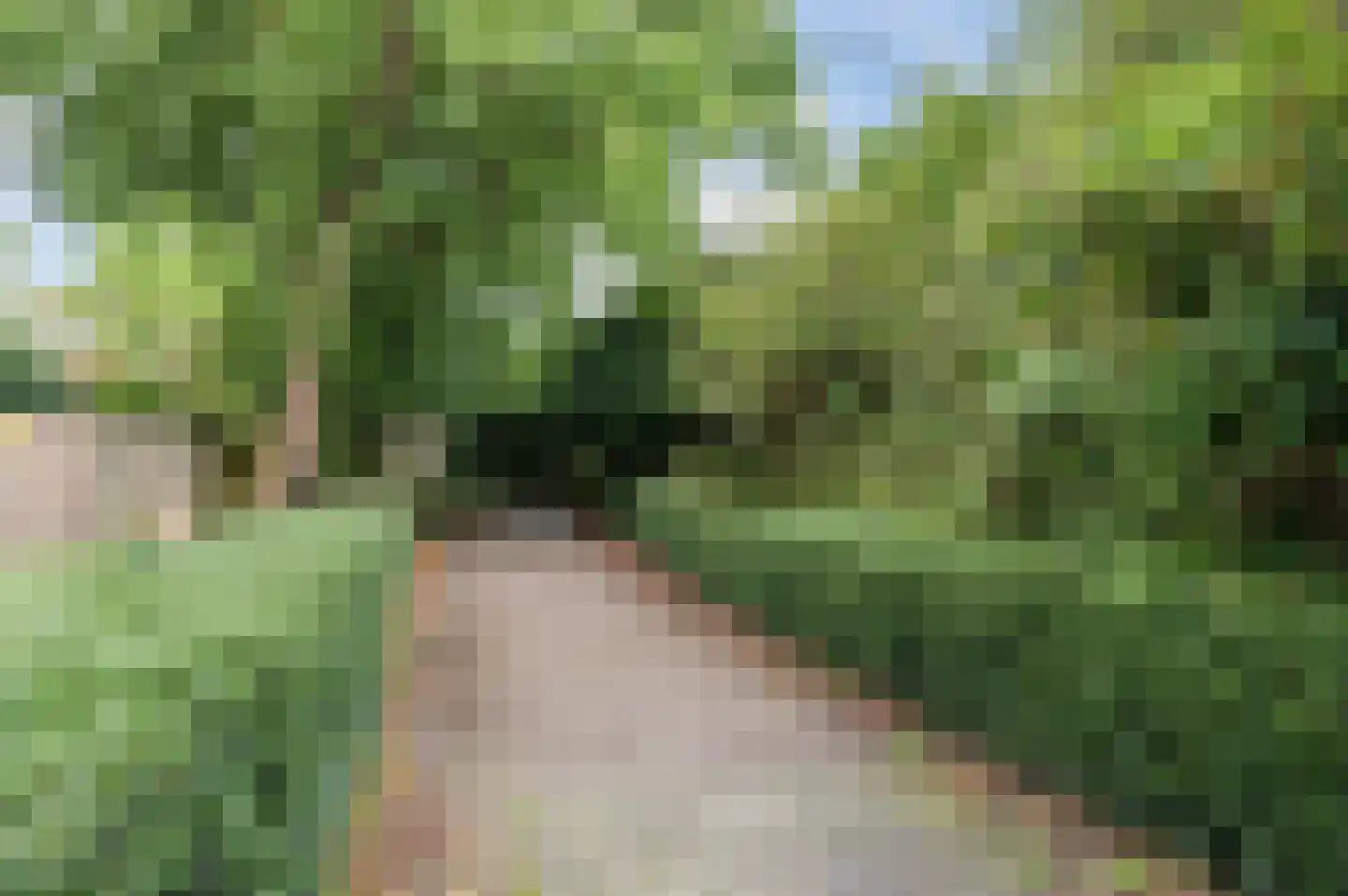 Waleweinlaan 24 Geldrop thumbnail 41