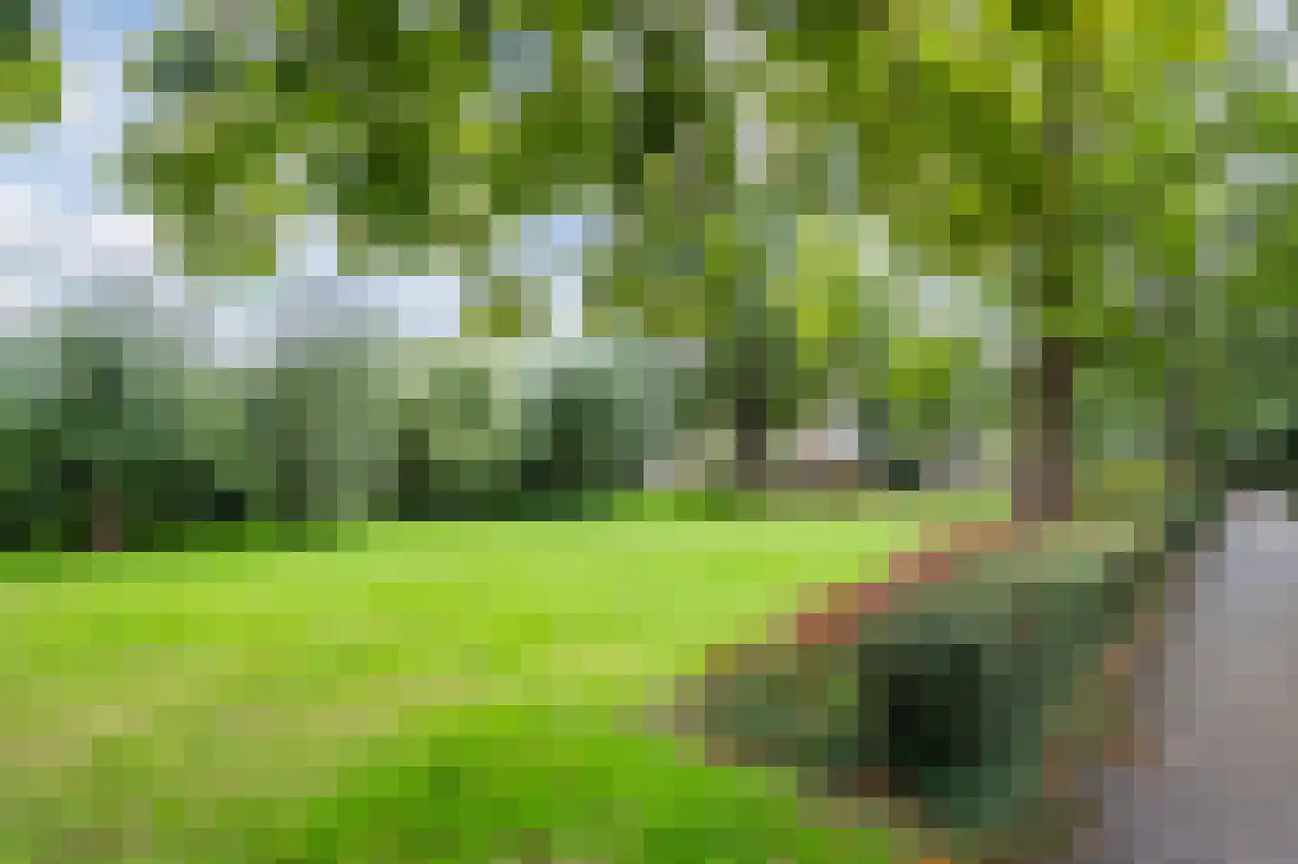 Waleweinlaan 24 Geldrop thumbnail 42