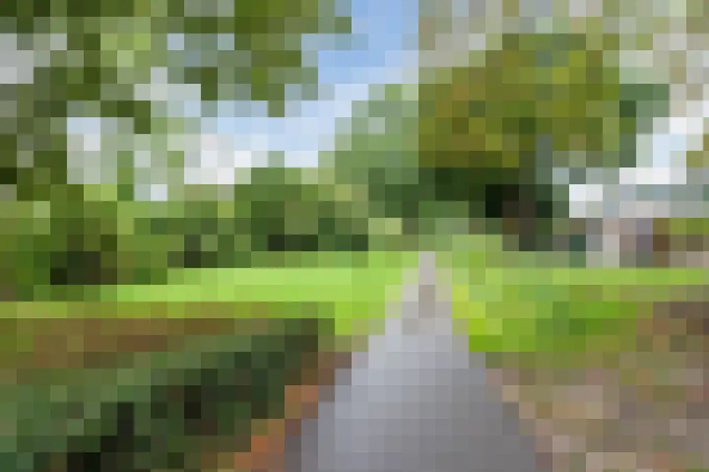 Waleweinlaan 24 Geldrop thumbnail 43