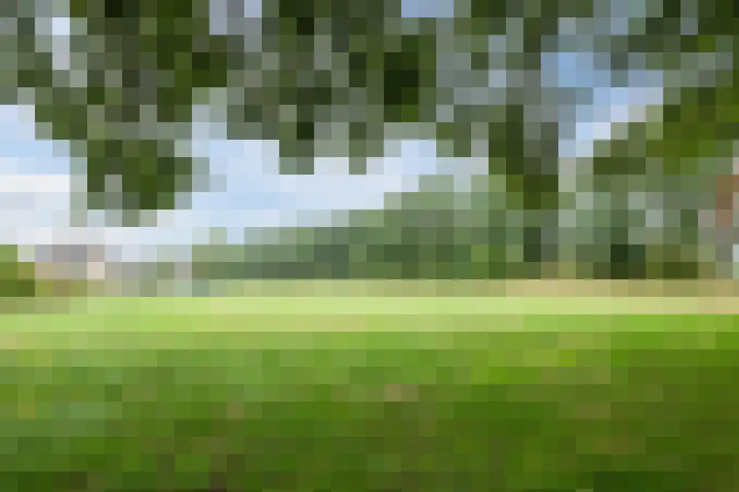 Waleweinlaan 24 Geldrop thumbnail 45