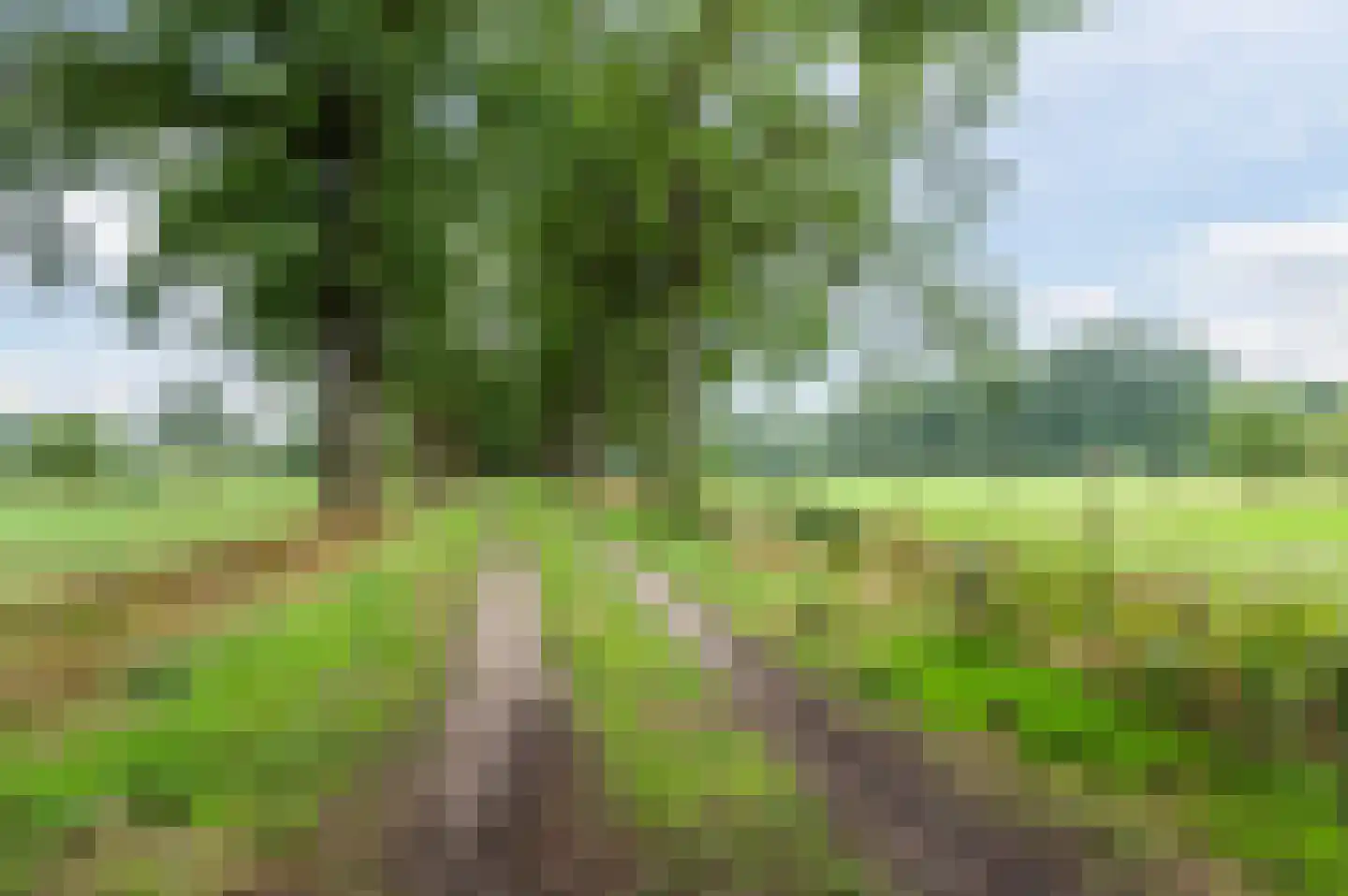 Waleweinlaan 24 Geldrop thumbnail 46