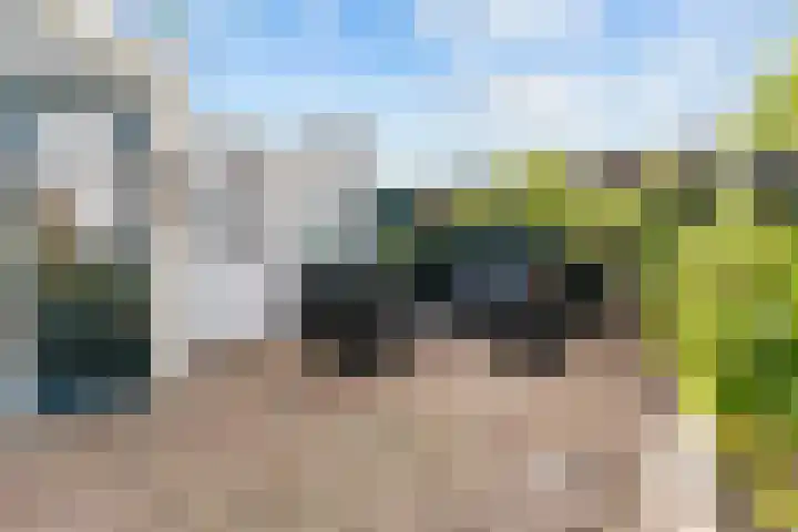 Waleweinlaan 41 Geldrop thumbnail 11