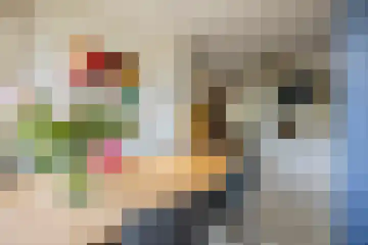 Waleweinlaan 41 Geldrop thumbnail 11