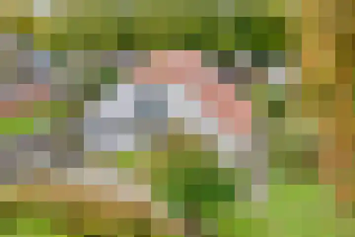 Waleweinlaan 41 Geldrop thumbnail 12
