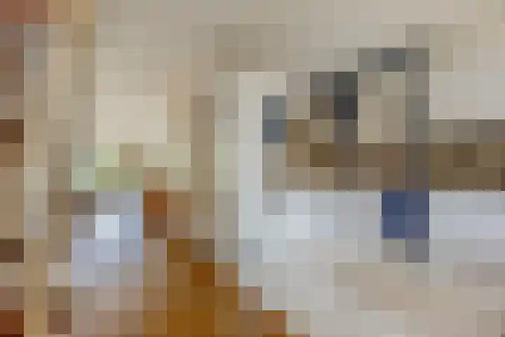Waleweinlaan 41 Geldrop thumbnail 12
