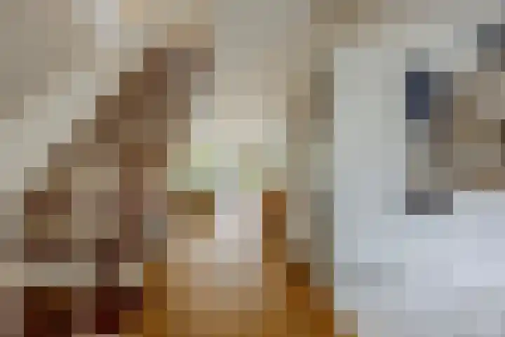 Waleweinlaan 41 Geldrop thumbnail 13