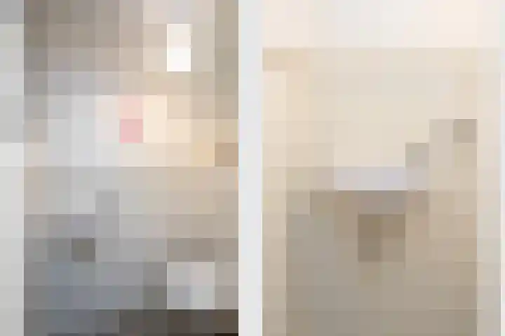 Waleweinlaan 41 Geldrop thumbnail 15