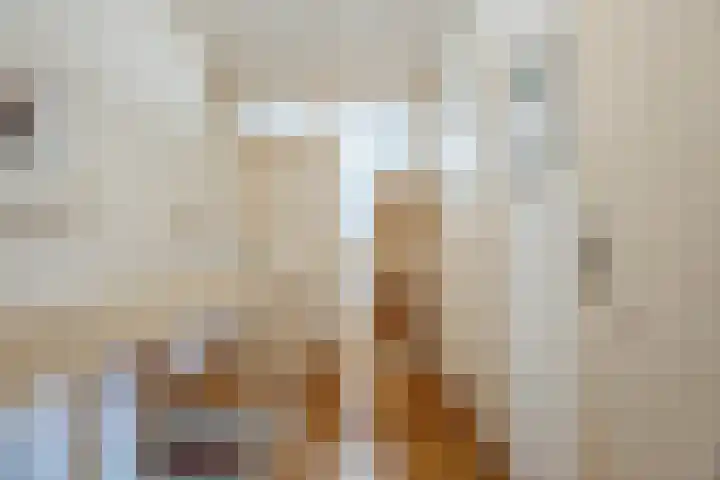 Waleweinlaan 41 Geldrop thumbnail 18