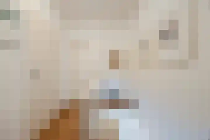 Waleweinlaan 41 Geldrop thumbnail 19