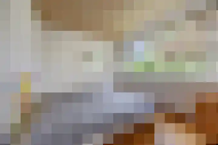 Waleweinlaan 41 Geldrop thumbnail 20