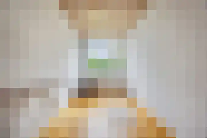 Waleweinlaan 41 Geldrop thumbnail 26