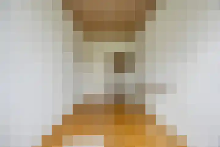 Waleweinlaan 41 Geldrop thumbnail 27