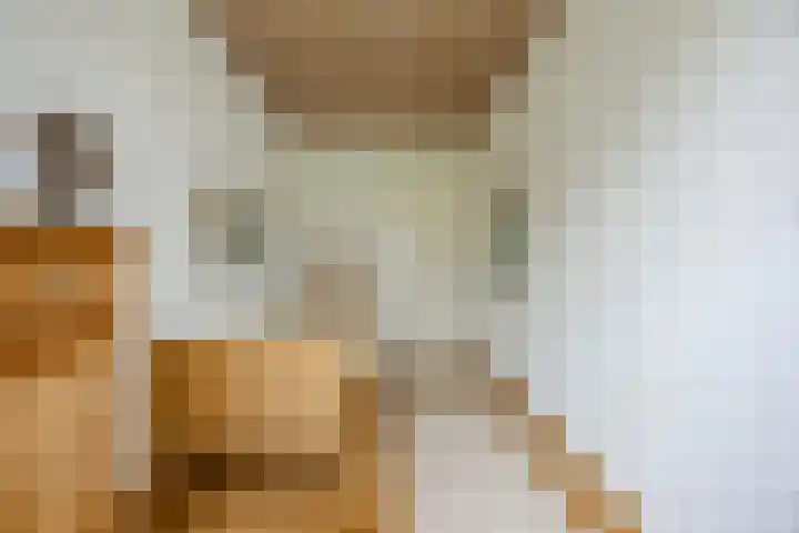 Waleweinlaan 41 Geldrop thumbnail 29