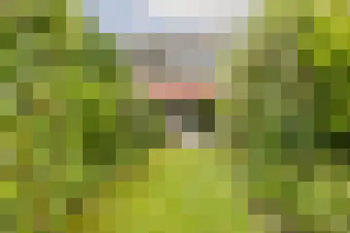 Waleweinlaan 41 Geldrop thumbnail 30