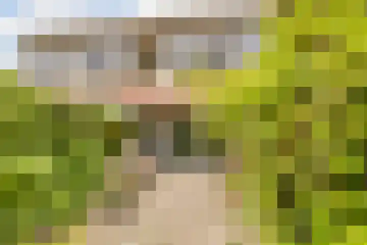 Waleweinlaan 41 Geldrop thumbnail 31