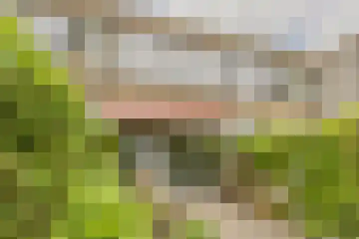 Waleweinlaan 41 Geldrop thumbnail 32