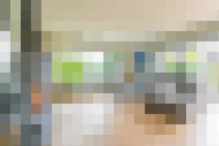 Waleweinlaan 41 Geldrop thumbnail 33