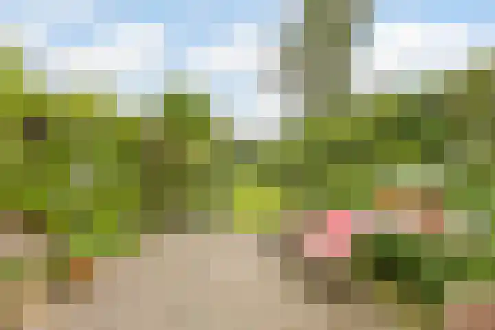 Waleweinlaan 41 Geldrop thumbnail 34