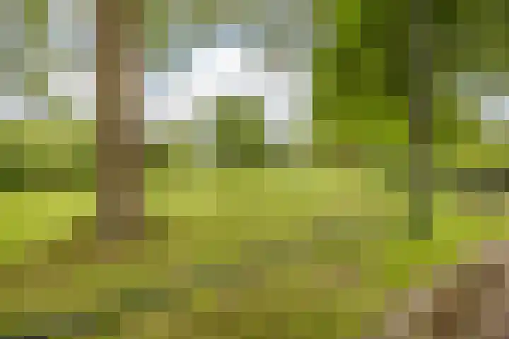Waleweinlaan 41 Geldrop thumbnail 36