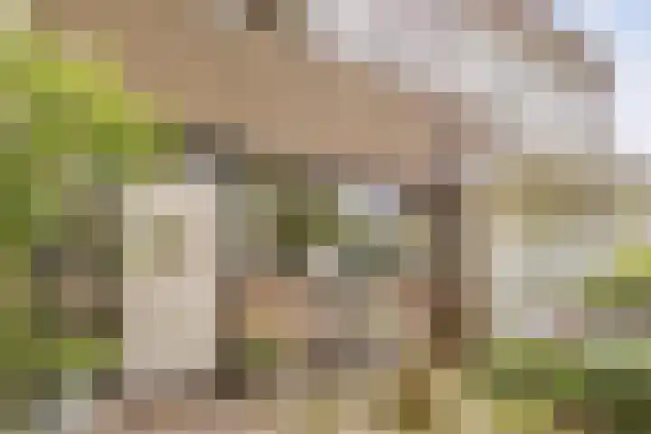 Waleweinlaan 41 Geldrop thumbnail 38