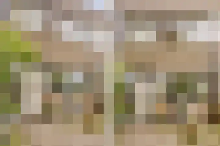 Waleweinlaan 41 Geldrop thumbnail 51