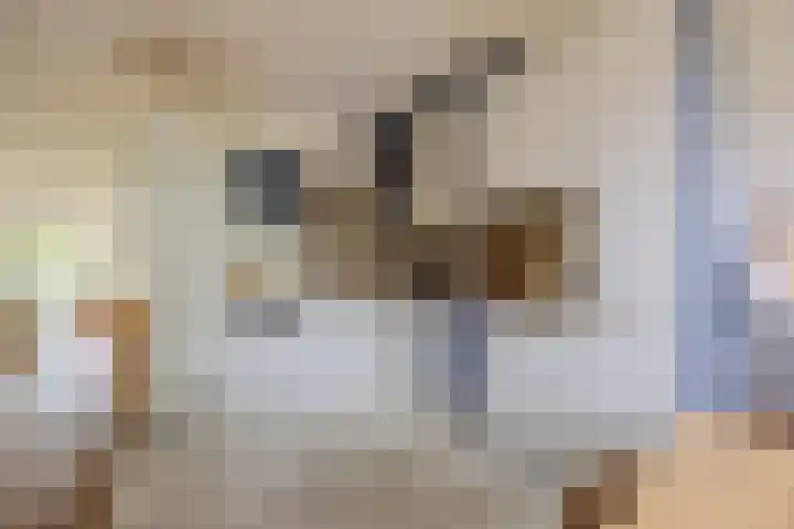 Waleweinlaan 41 Geldrop thumbnail 8