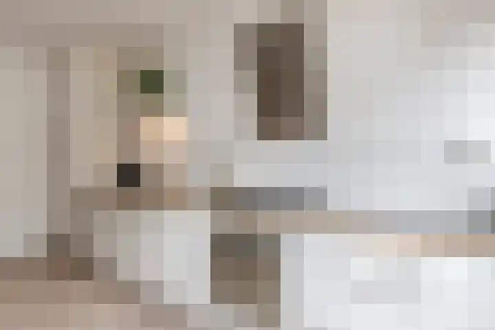 Waleweinlaan 76 Geldrop thumbnail 13