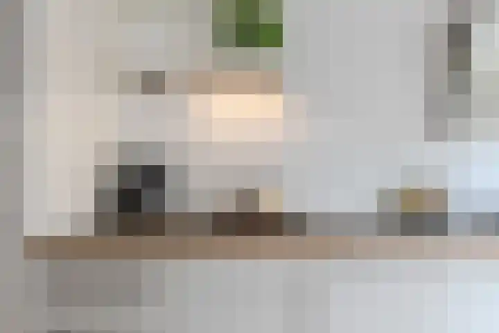 Waleweinlaan 76 Geldrop thumbnail 14