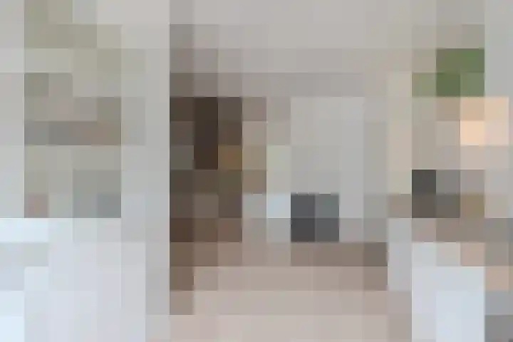 Waleweinlaan 76 Geldrop thumbnail 16