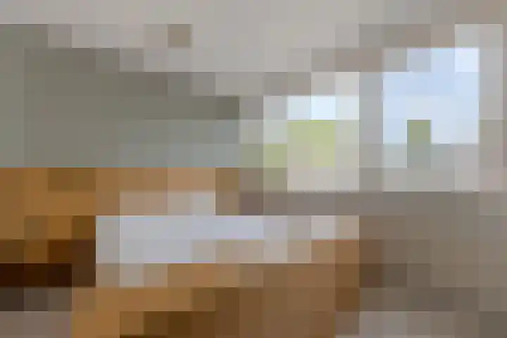 Waleweinlaan 76 Geldrop thumbnail 20