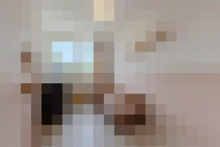 Waleweinlaan 76 Geldrop thumbnail 23