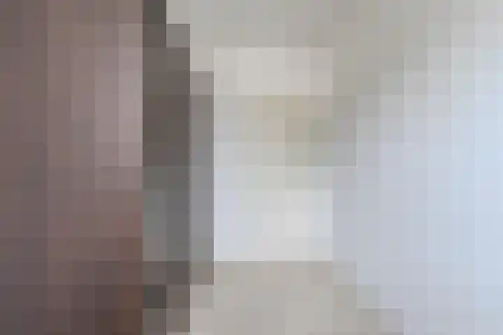 Waleweinlaan 76 Geldrop thumbnail 29