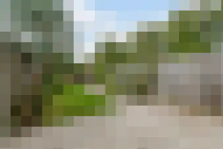Waleweinlaan 76 Geldrop foto 3