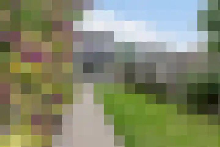 Waleweinlaan 76 Geldrop thumbnail 33
