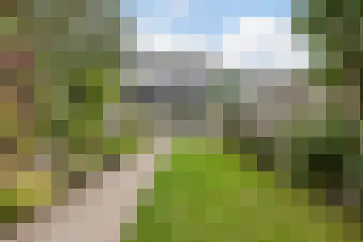 Waleweinlaan 76 Geldrop thumbnail 34