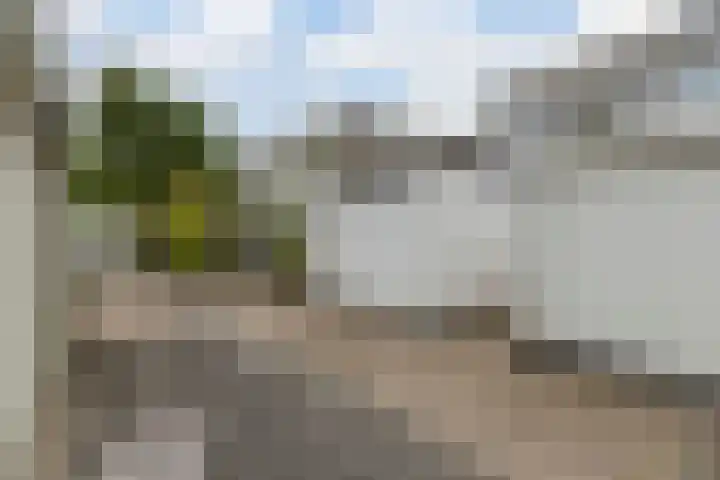 Waleweinlaan 76 Geldrop thumbnail 39
